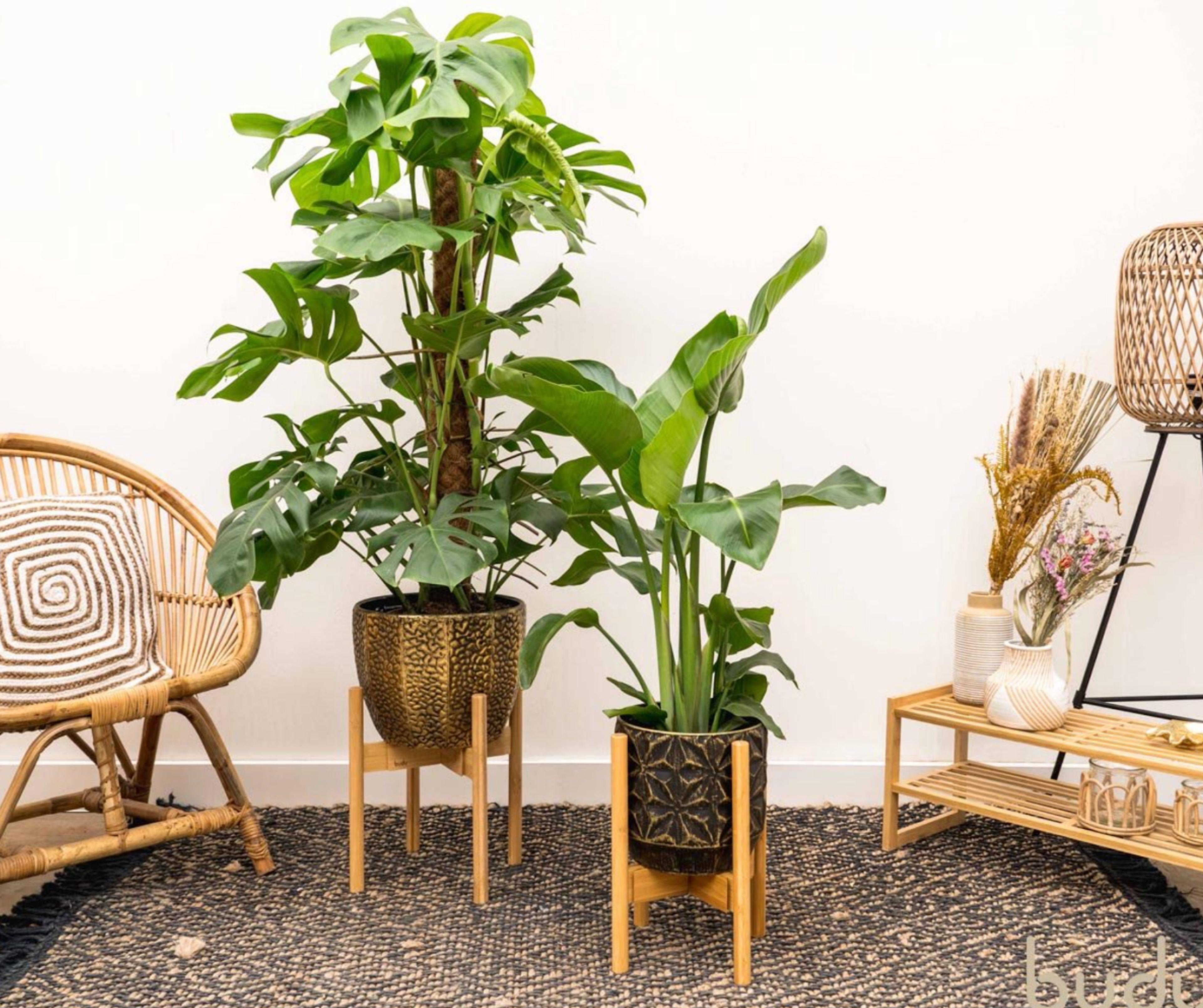 wooden-plant-stand