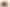 A table in brown