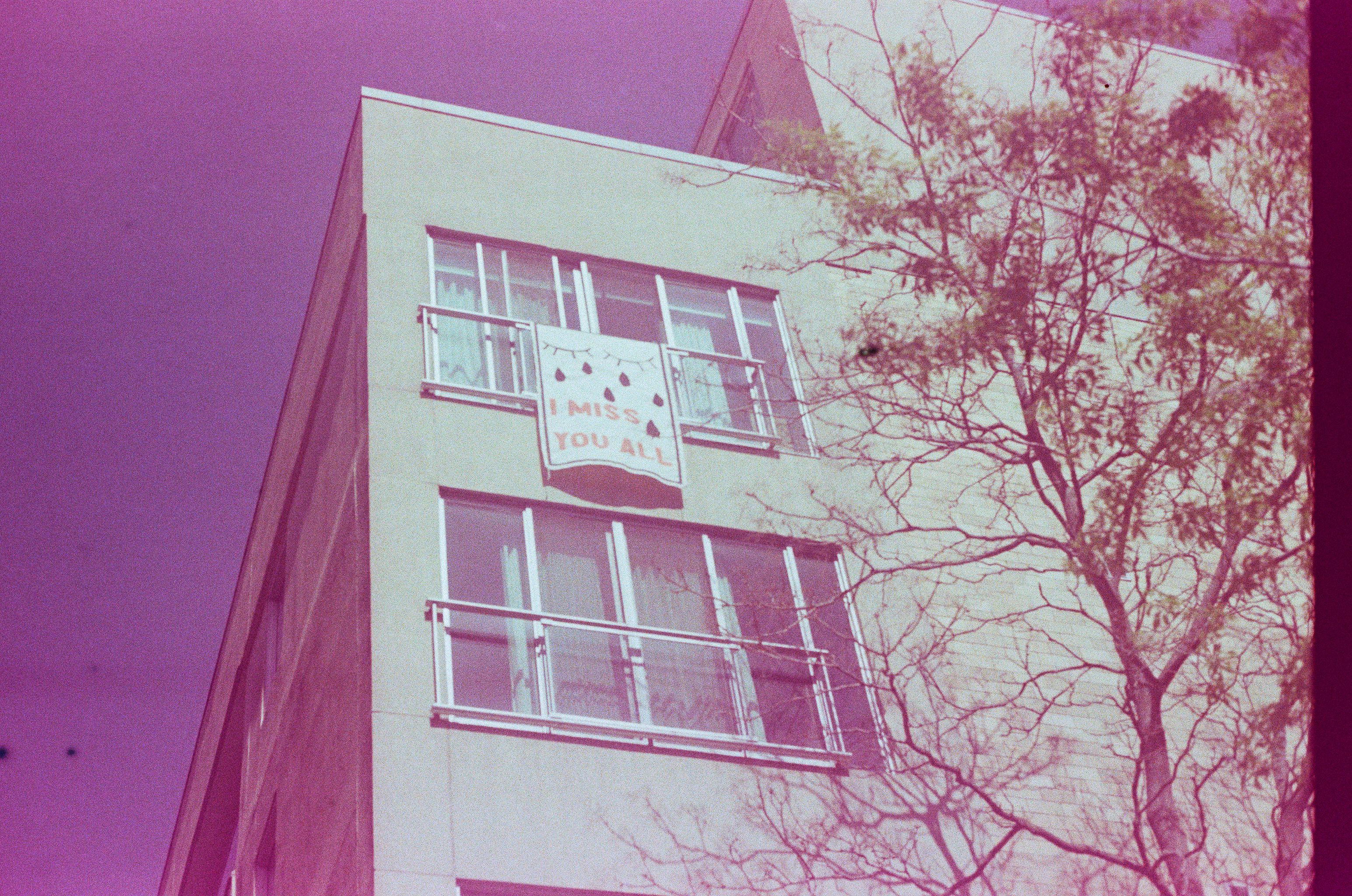 I Miss You All — image 4