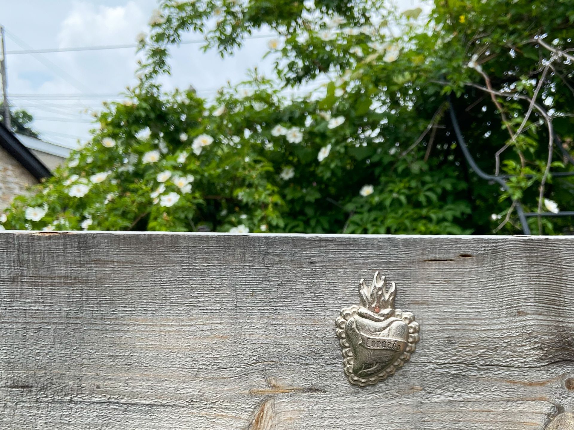 Handful Design — image 10