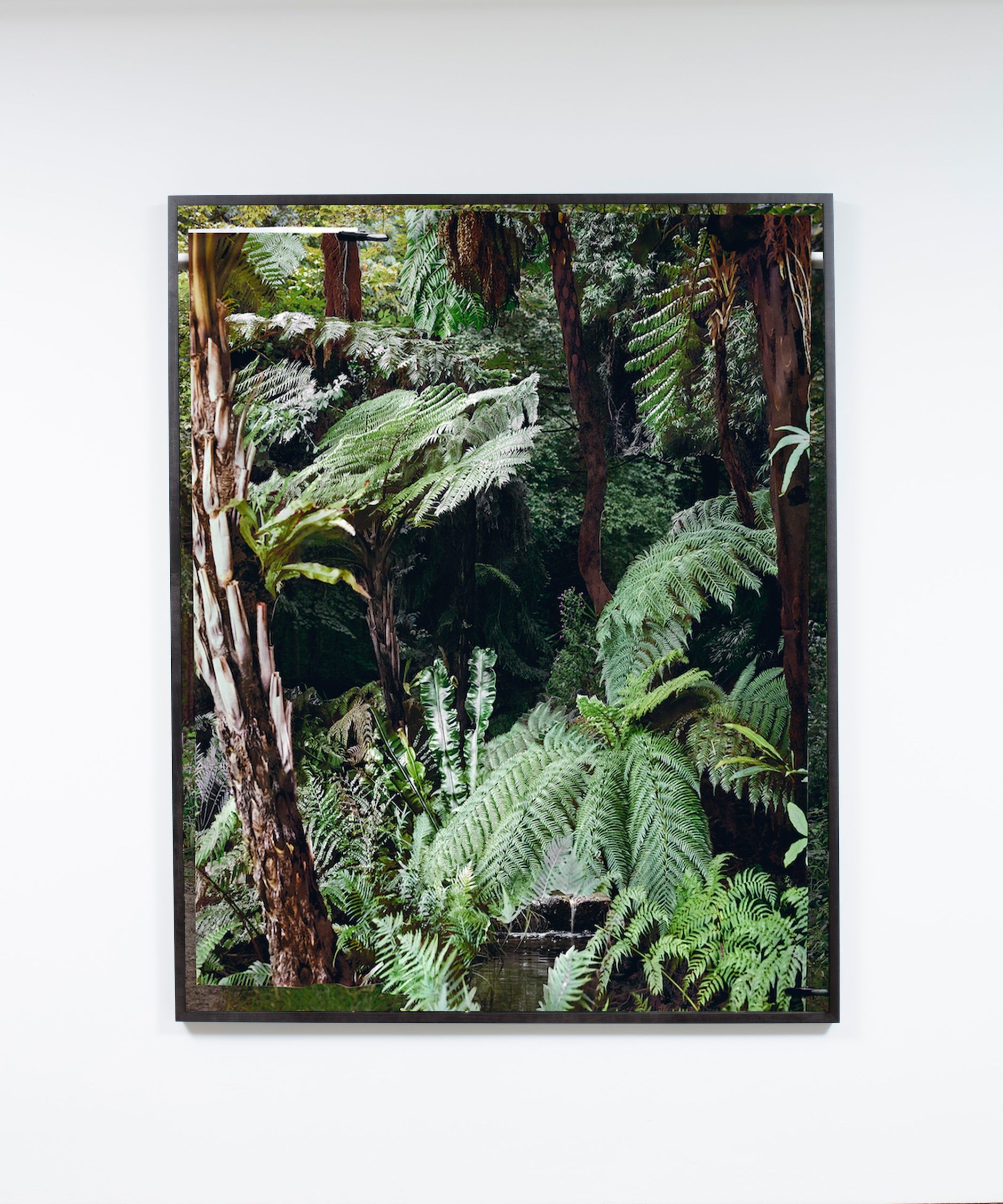 Tropiques III — Noémie Goudal