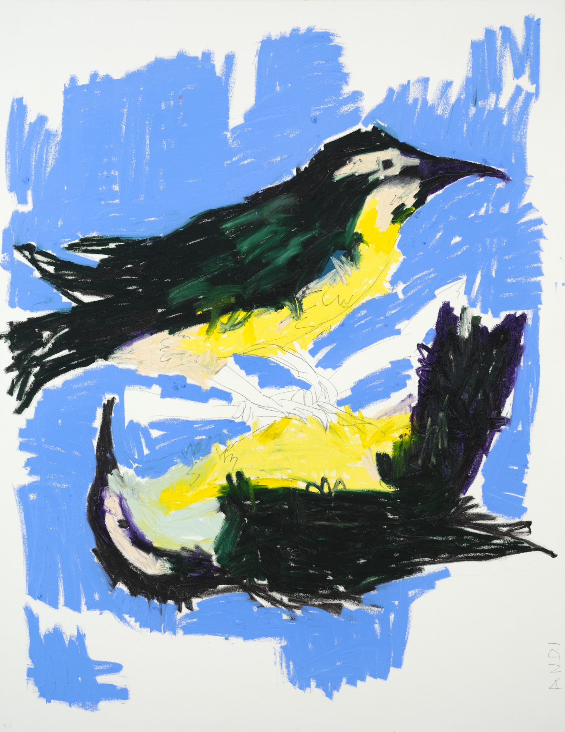Obacht zweier Vögel — Andi Fischer