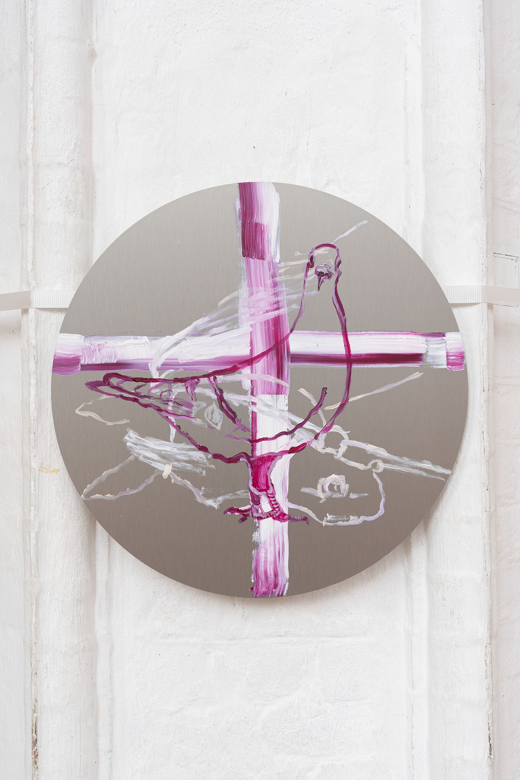 PS Taube. Hit Plus — Maximiliane Baumgartner