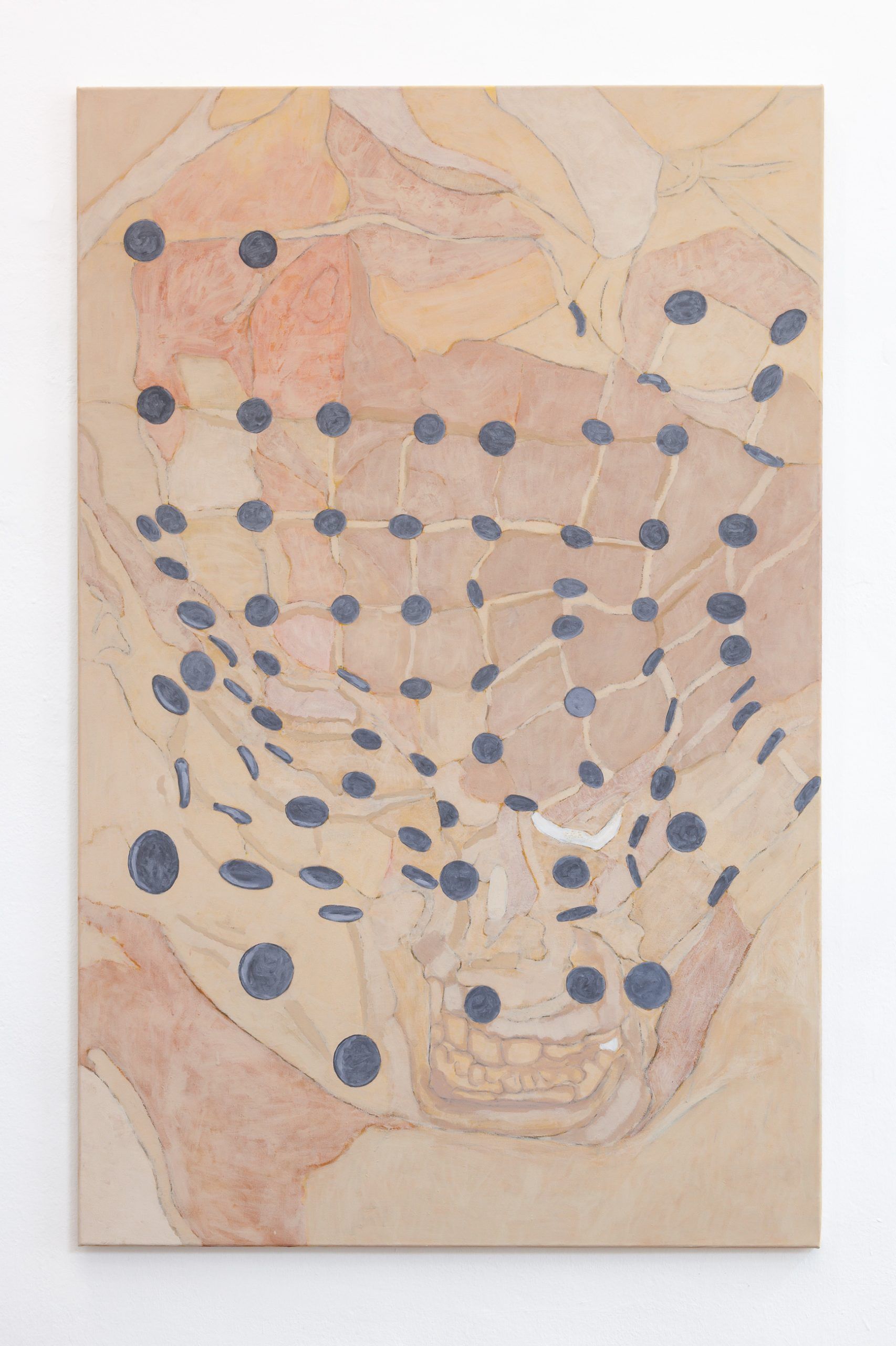 Untitled — David Gruber