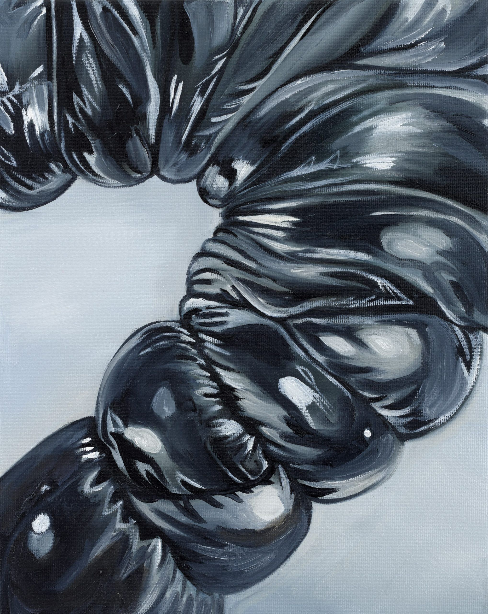 Topography II — Charlie Stein