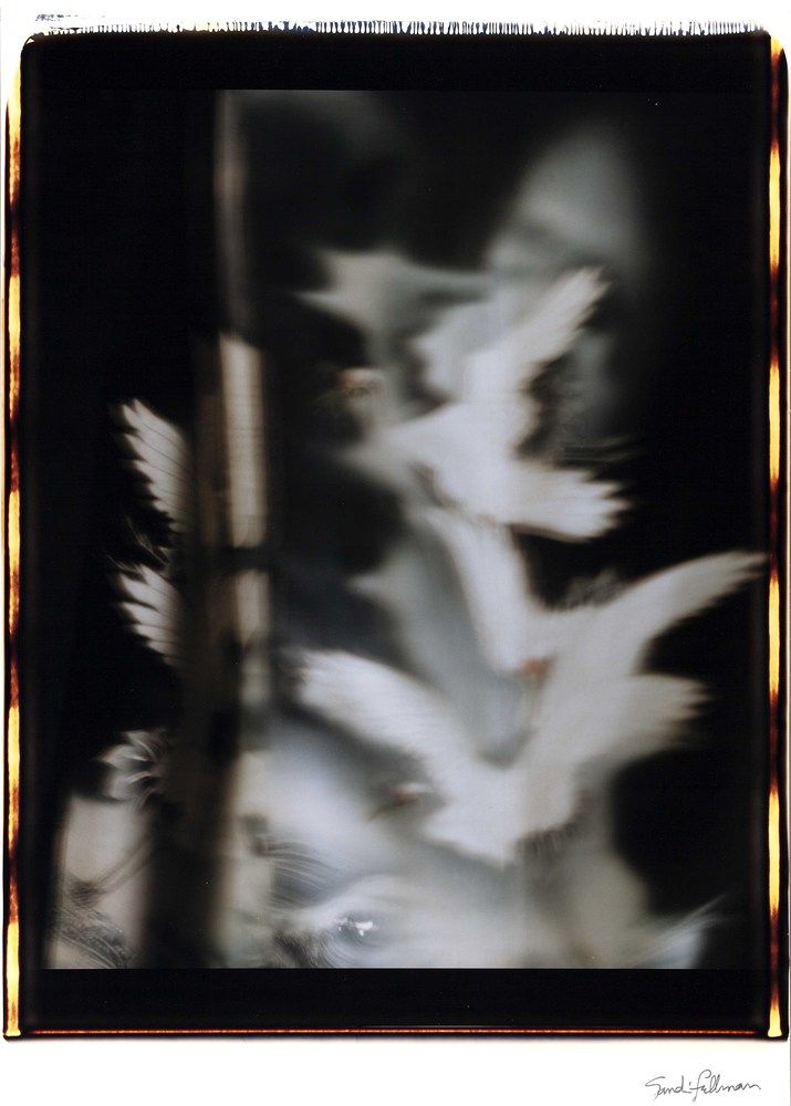 20 aus der Serie »À rebours — Sandi Fellman