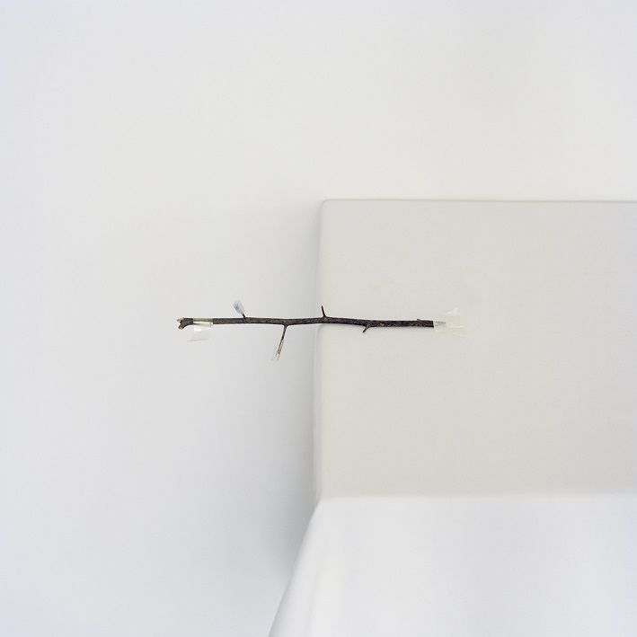 Untitled — Carlo Benvenuto
