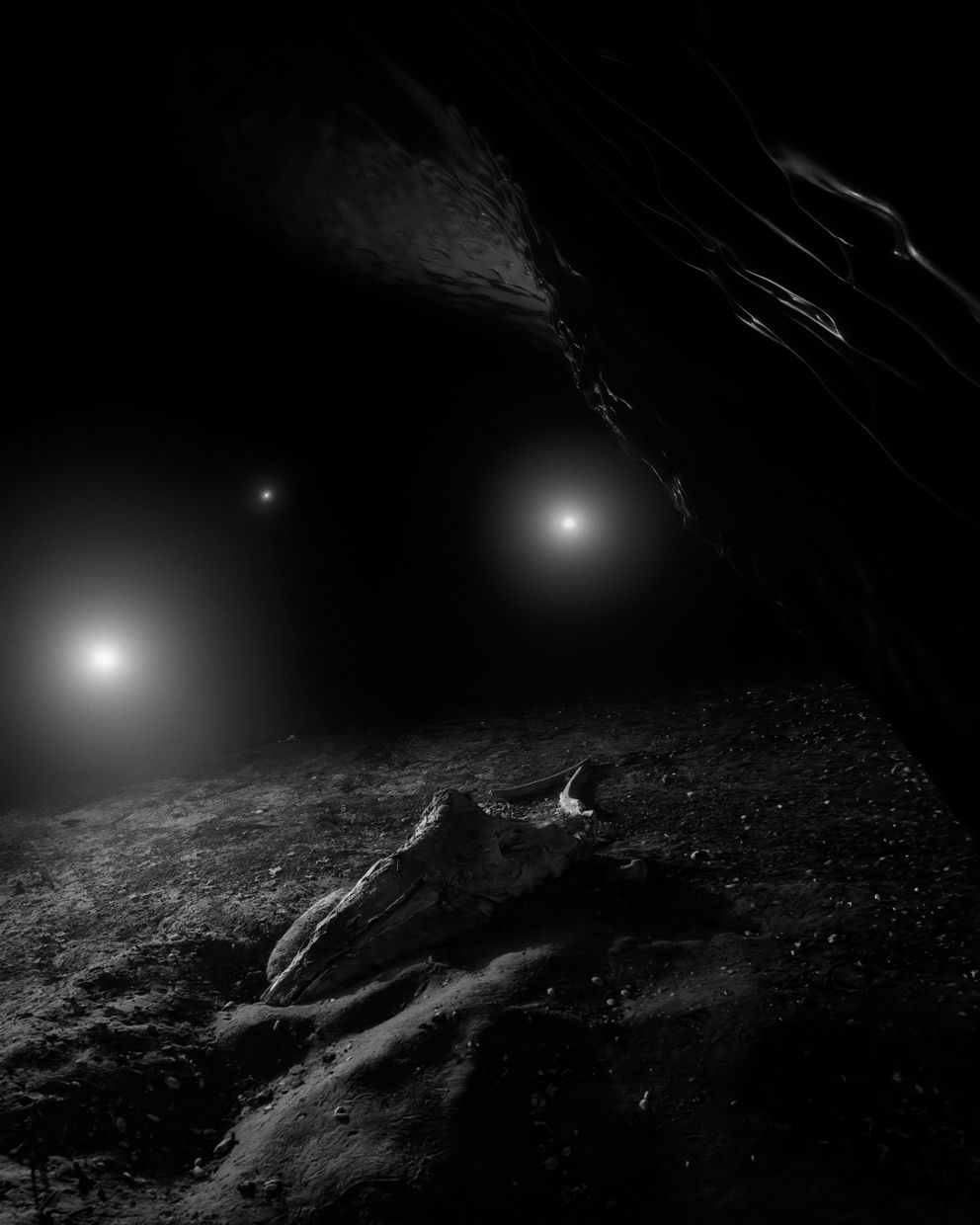 Albedo 70.67 °N — Julian Charrière