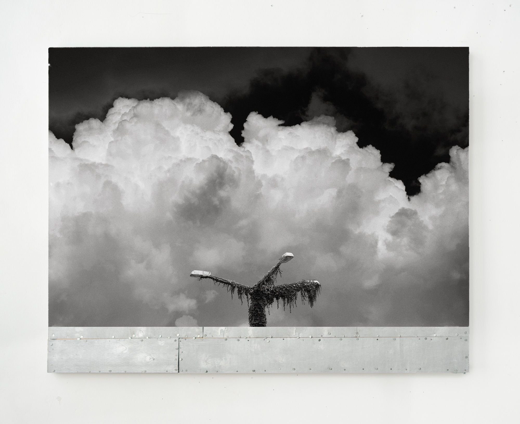 Untitled — Lucia Sotnikova