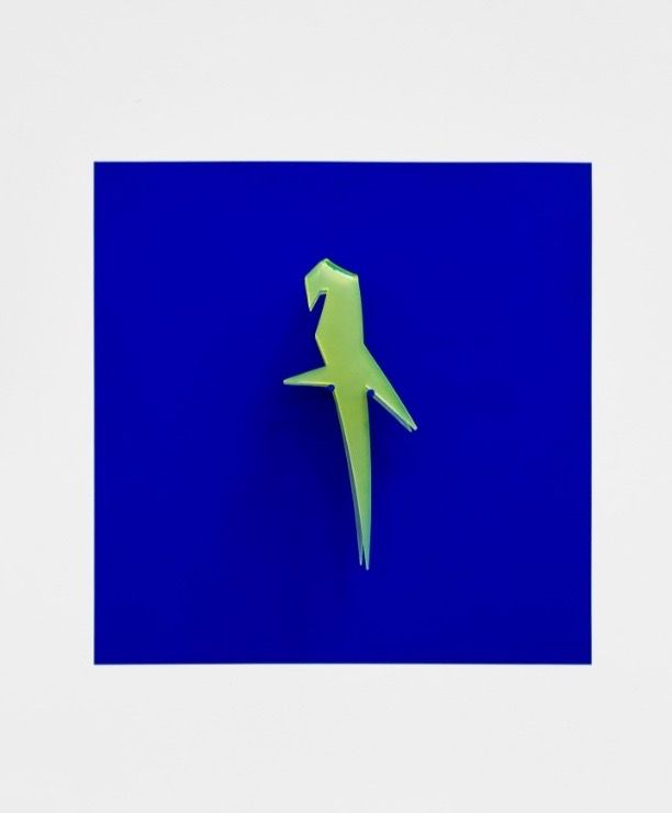 Parrot — REINE PARADIS