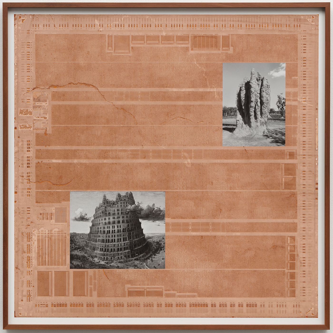Babel — Nicolás Lamas