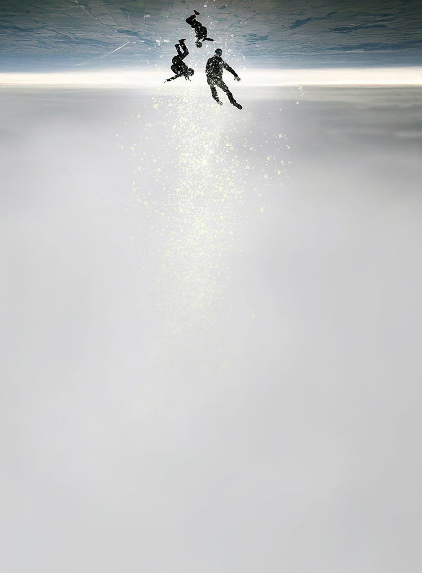 Skydiver VI — Anna Vogel
