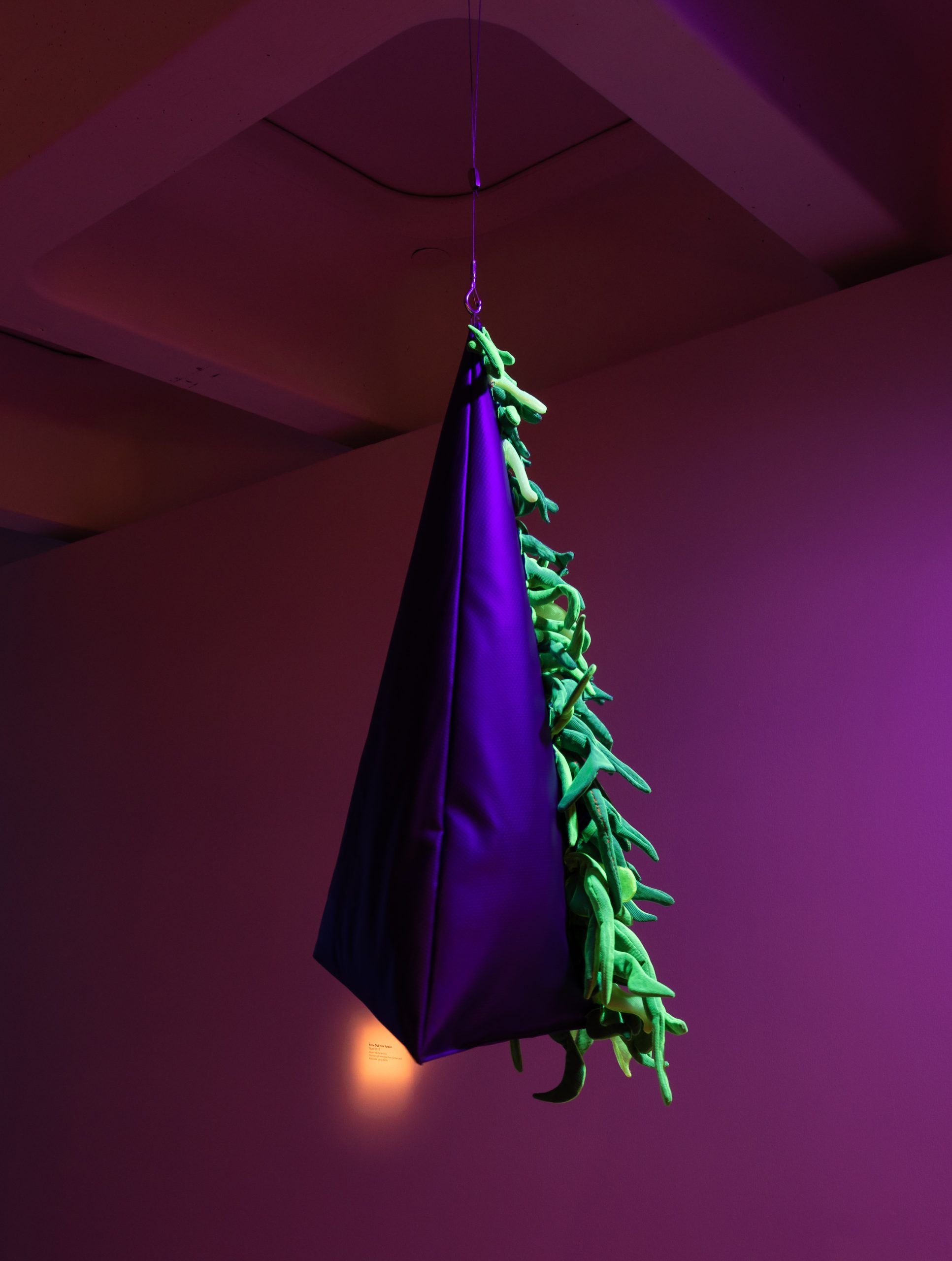 Elysia, the Beheaded Nudi — Anne Duk Hee Jordan