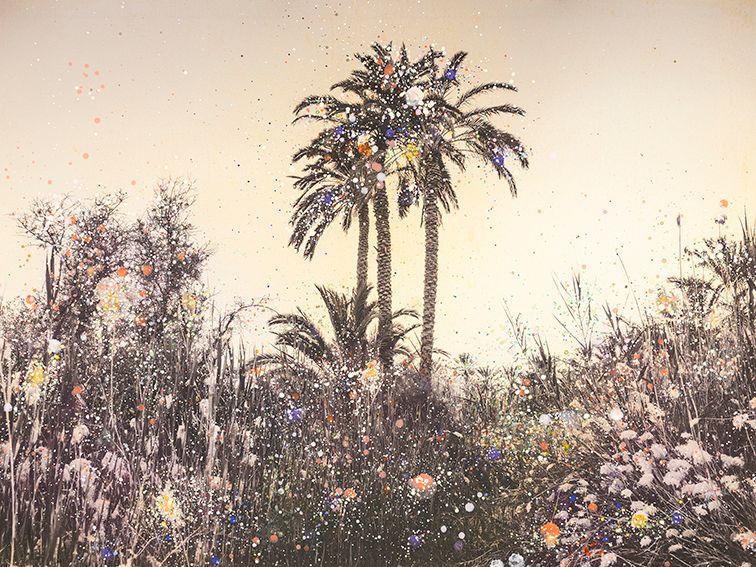 Painted Palm by Siwa — Nanna Hänninen