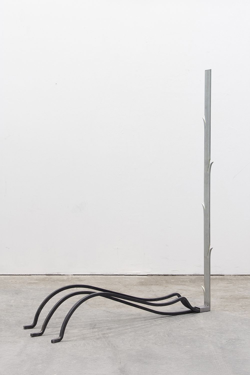 Fuss (2) — Sophia Manika