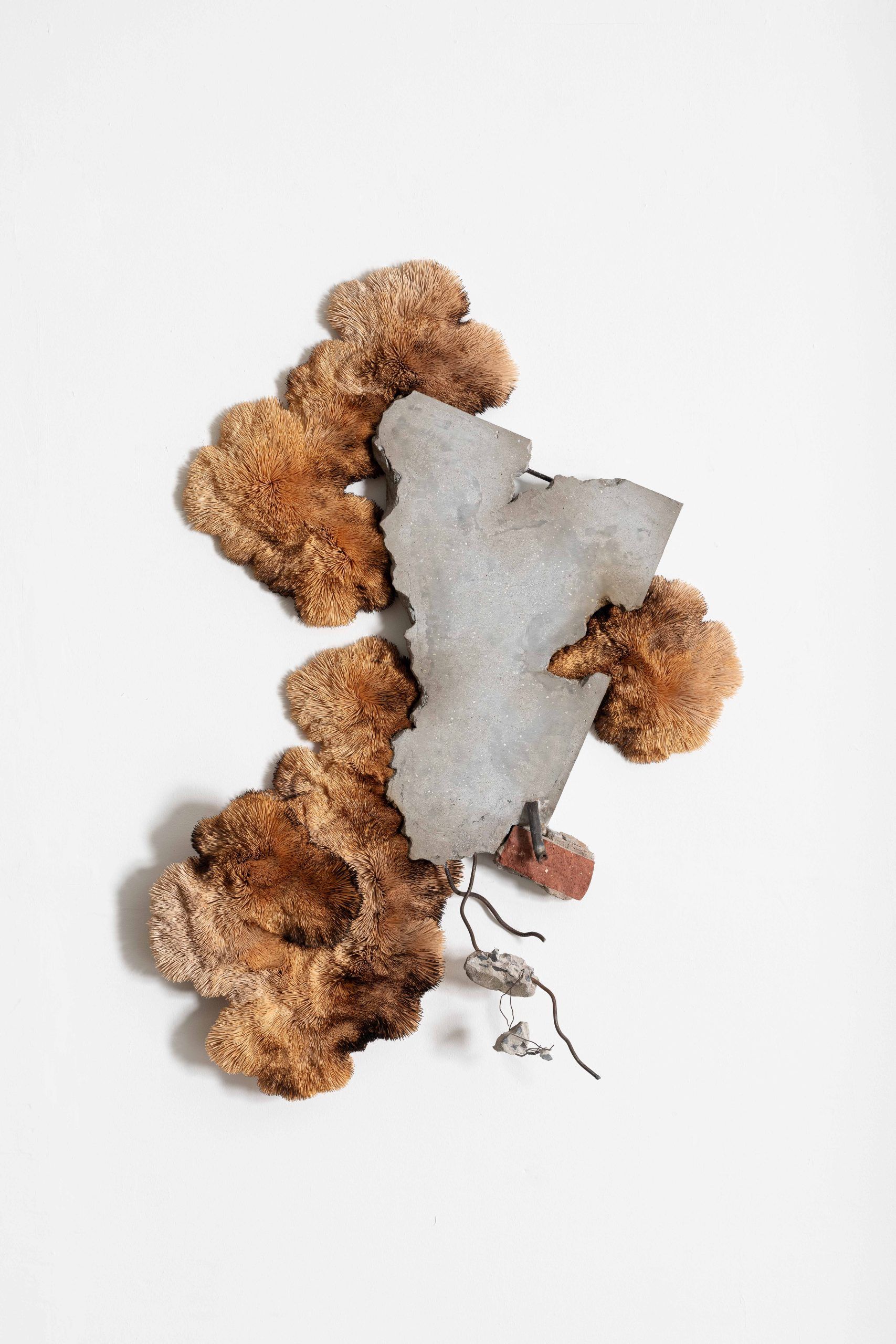 The poetics of deviation — Chris Soal