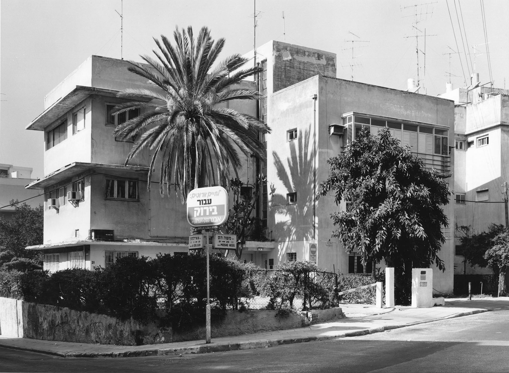 Tel Aviv (House Kruskal) — Irmel Kamp
