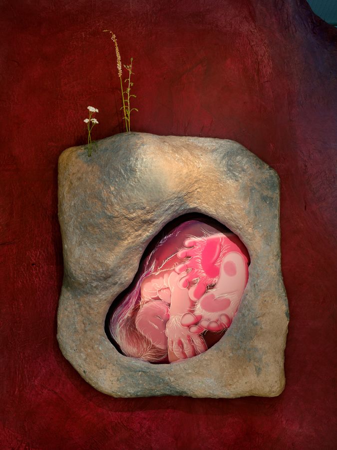 Homebody (Womb) — Puck Verkade