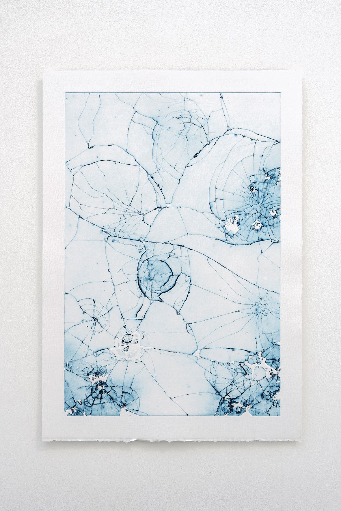 DOVE (Gust) — Carmen Schaich