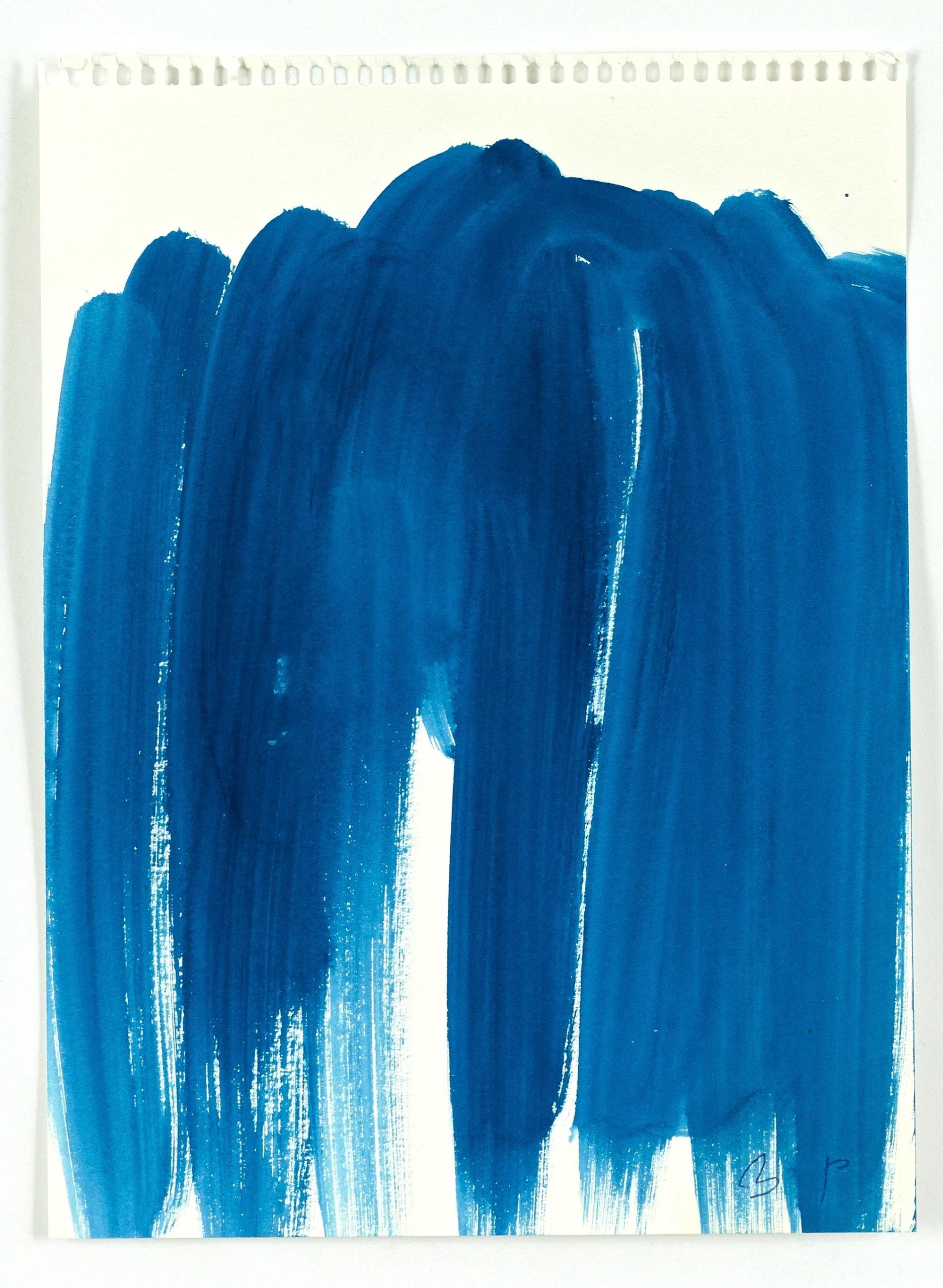 Untitled — Heidi Bucher
