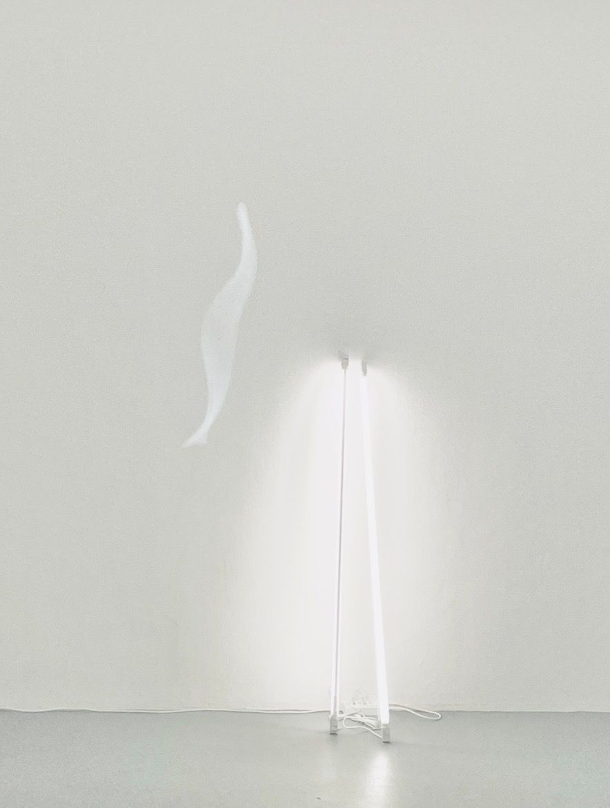 untitled — Johanna von Monkiewitsch