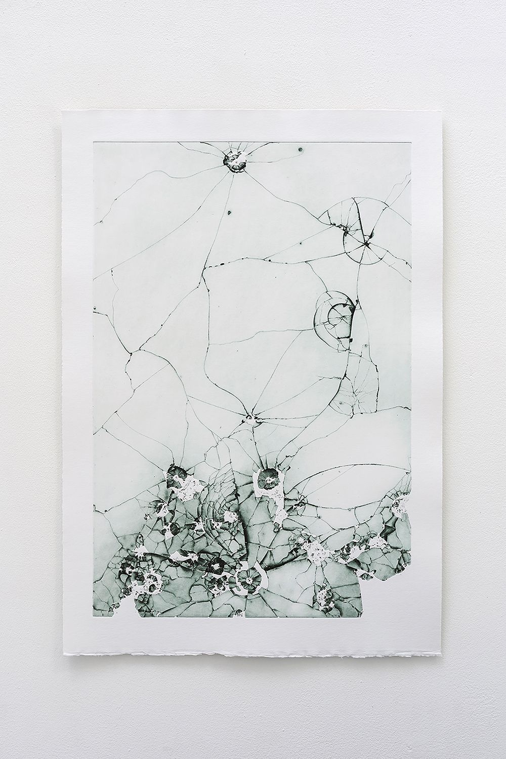 Dove (View) — Carmen Schaich