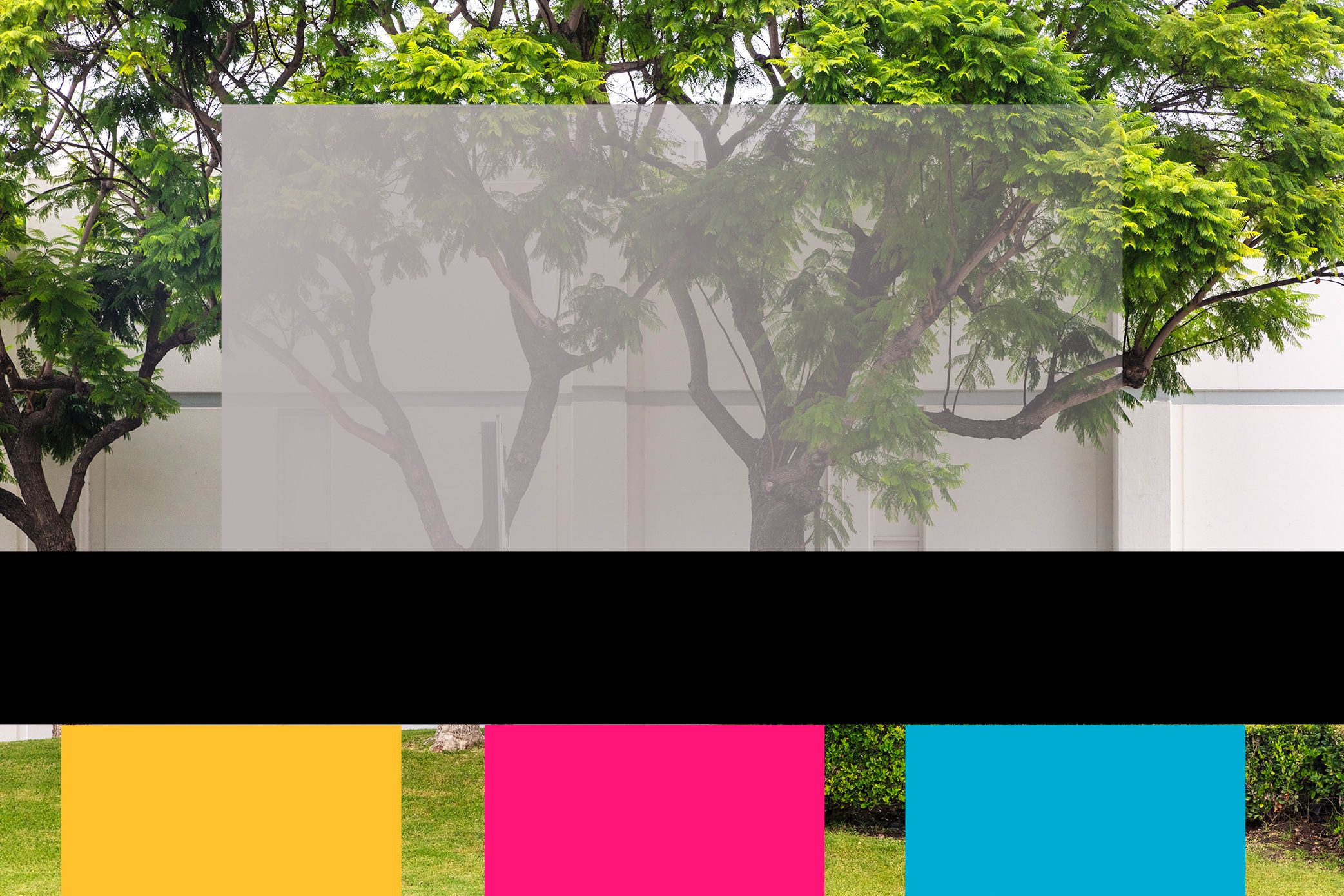 Baltz #04 — Grey Crawford