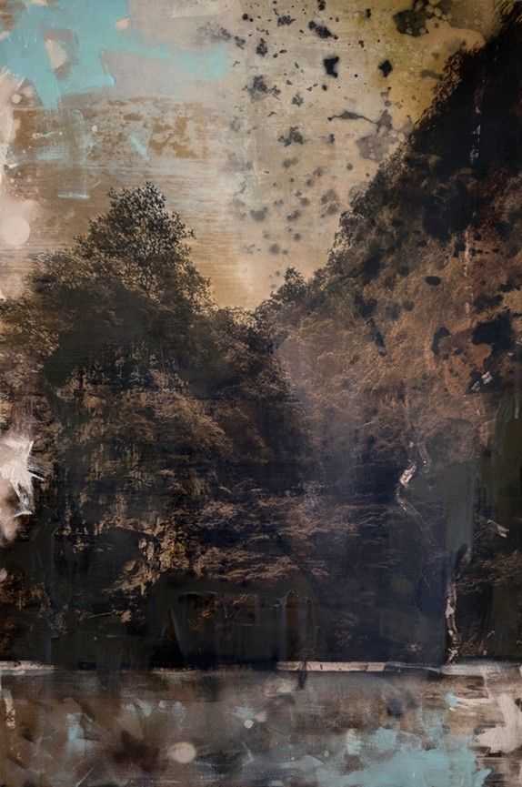 Paramnesie (Malaysia Regenwald) 02 — Dieter Nuhr