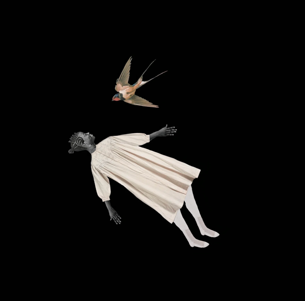 The Flying Girl — Tshepiso Moropa