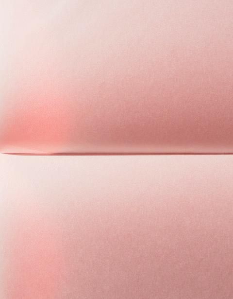 untitled — Johanna von Monkiewitsch