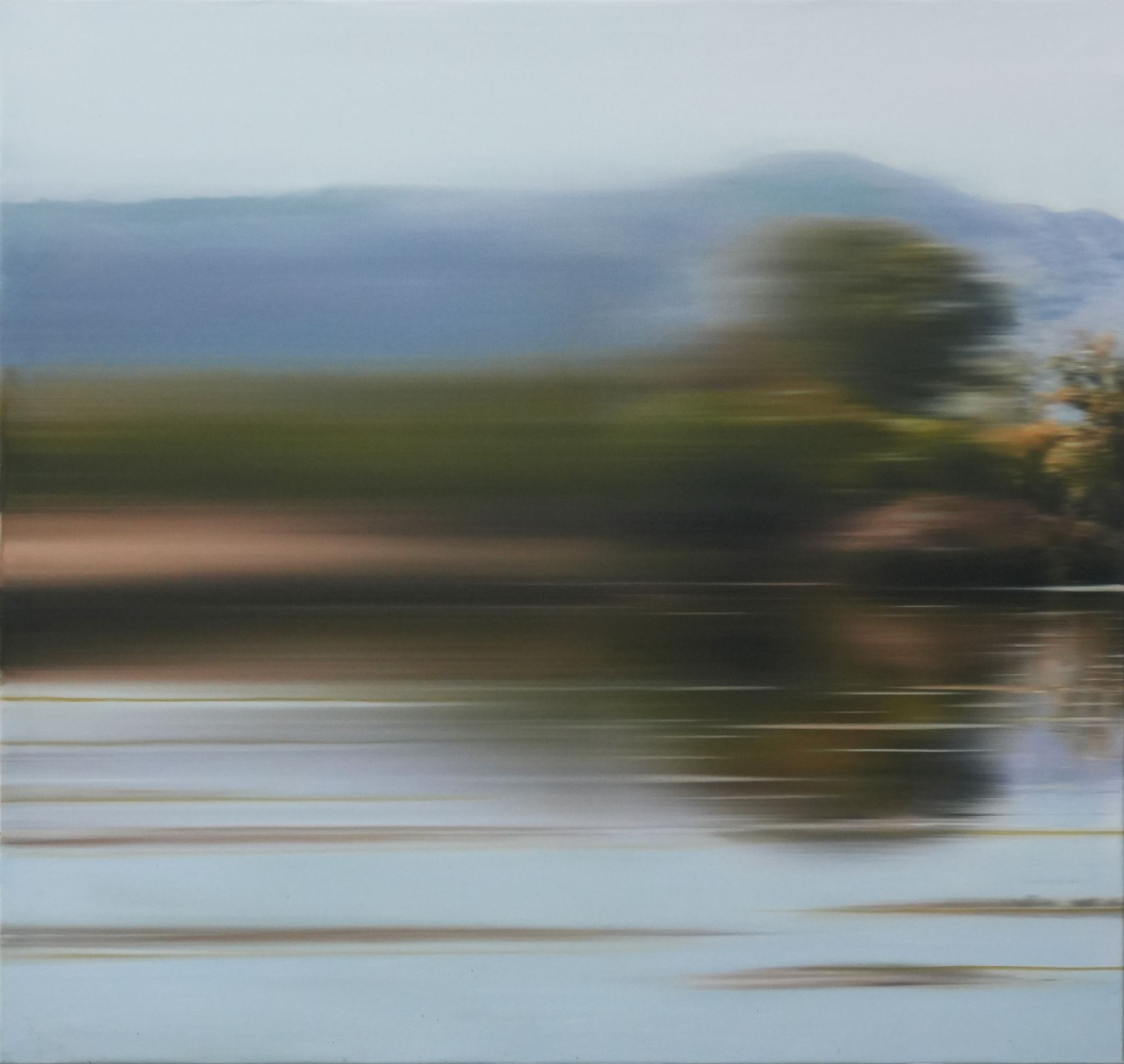 The Disapeared — Stephan Kaluza