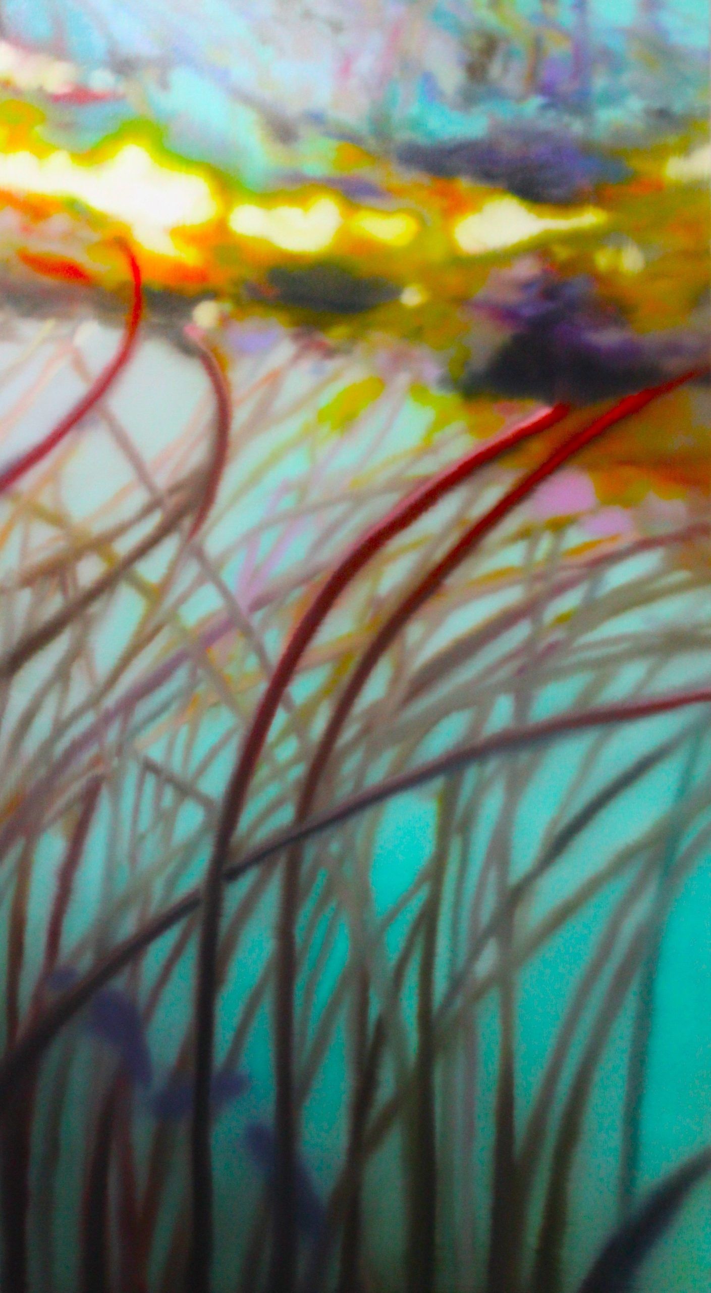 Luturna (Seerose) — Julia Jansen