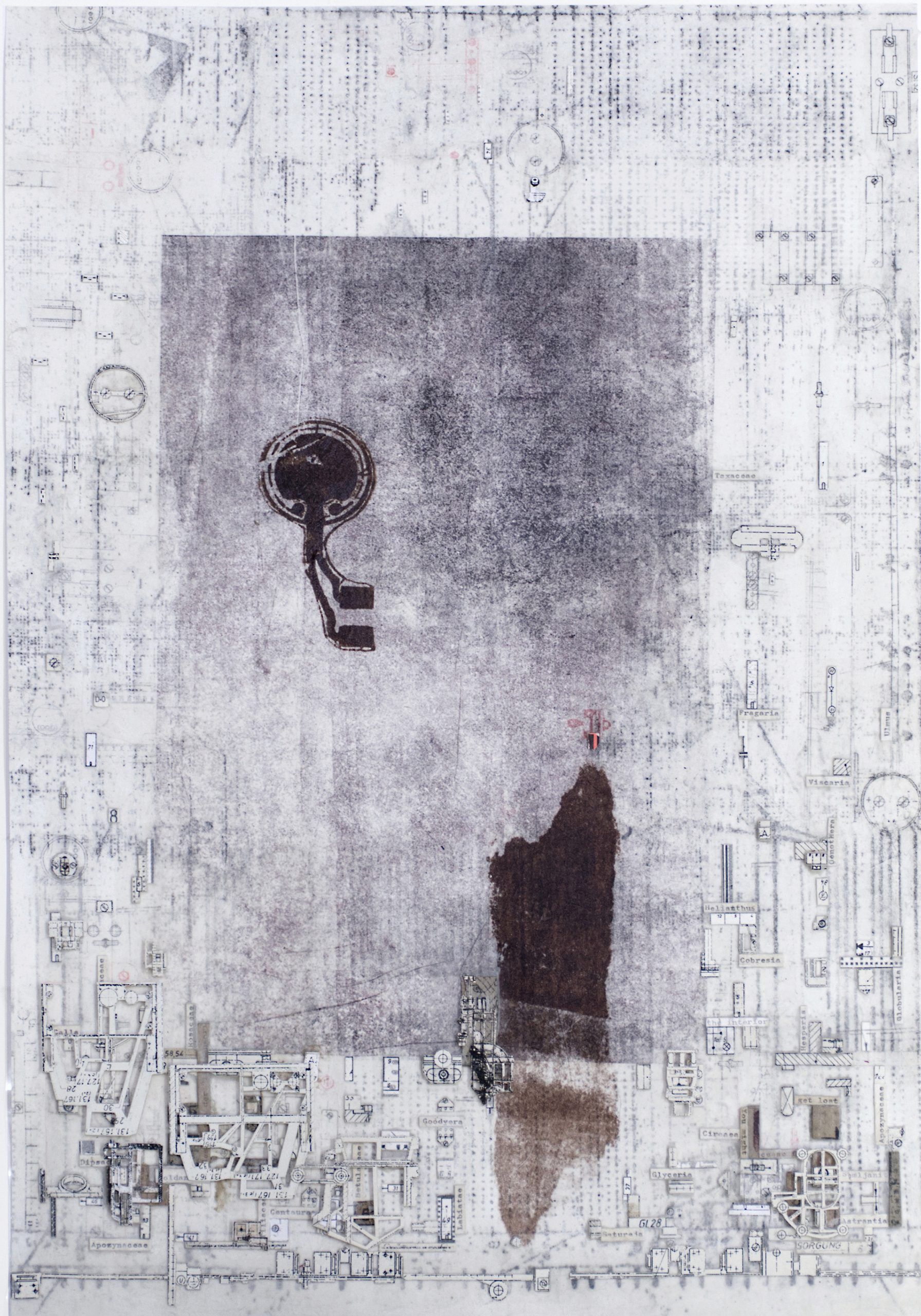 Semiosphere #1 — Jenny  Michel