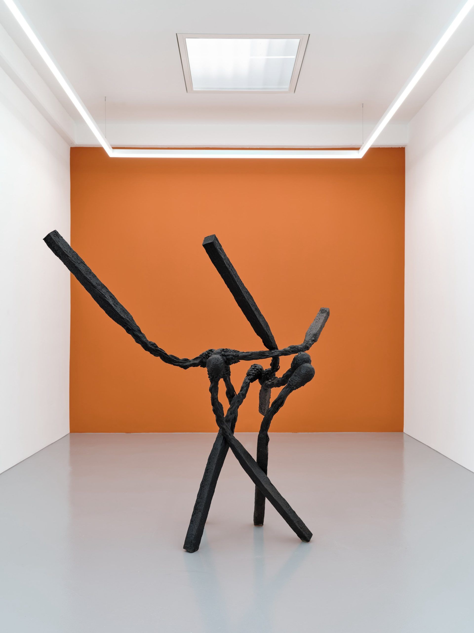 Delta — Thomas Wachholz