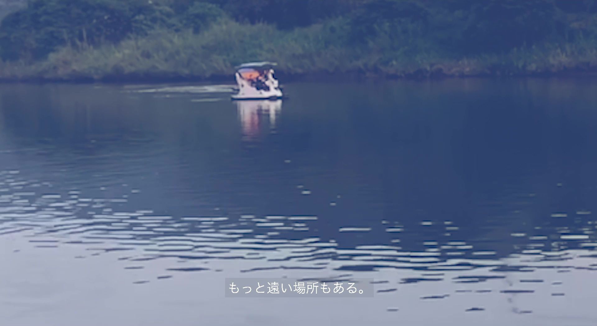 The Lone Curator — OKUMURA Yuki