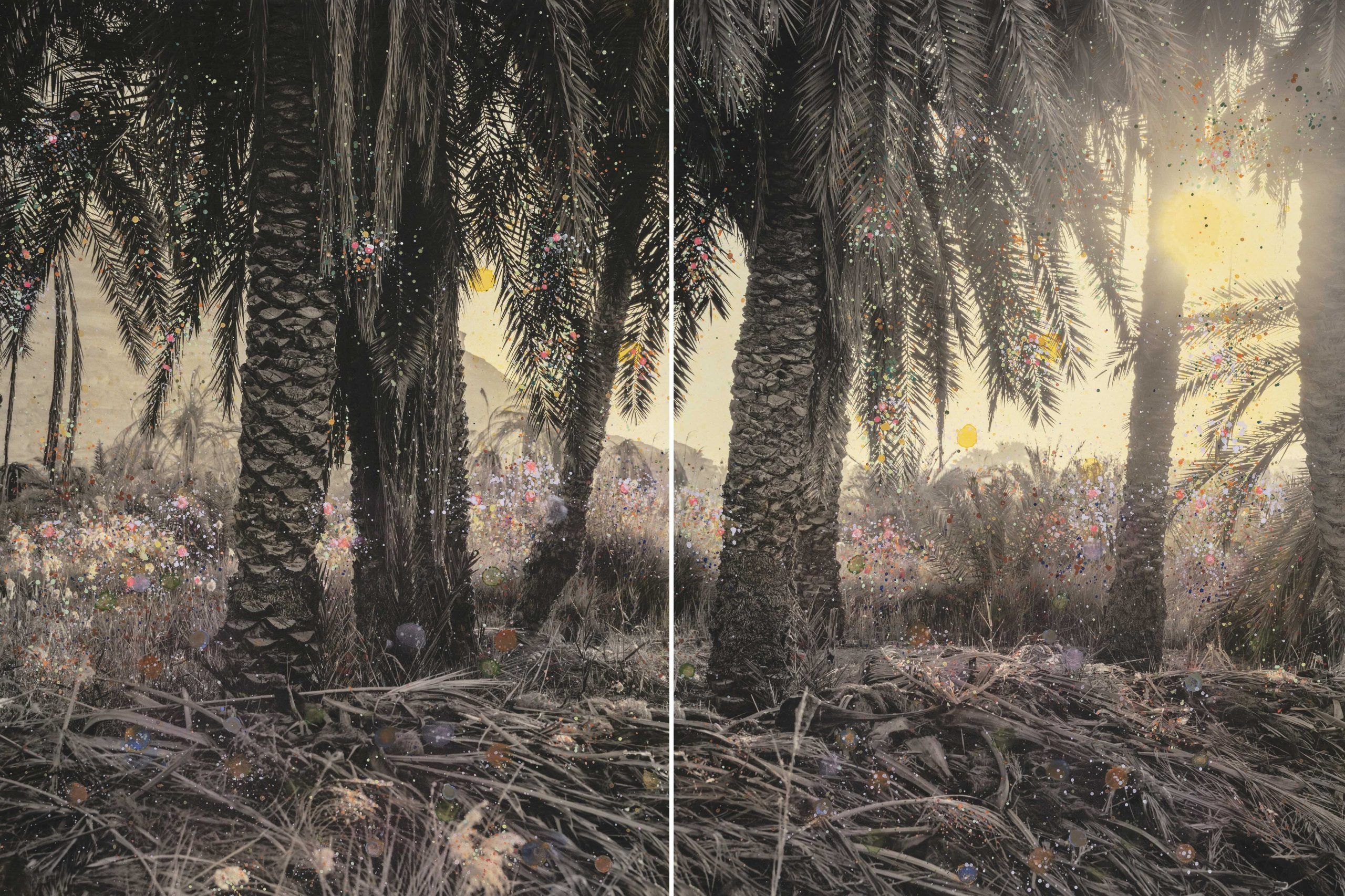 Siwa Oasis #2 — Nanna Hänninen