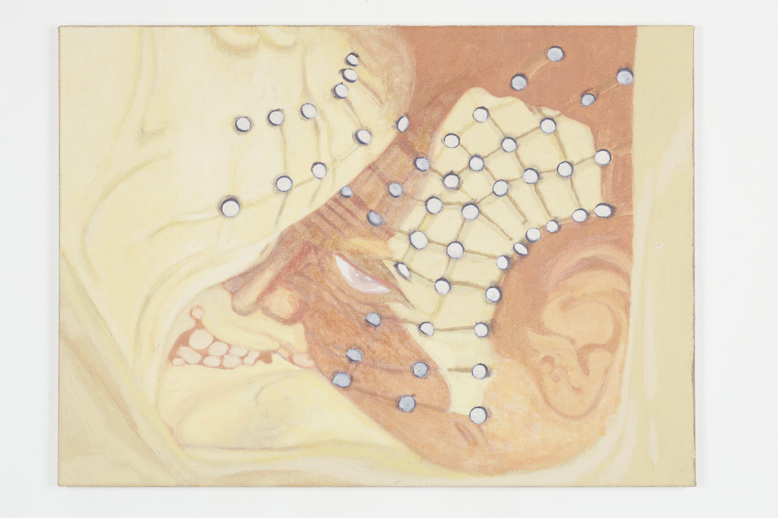 Untitled (storyboard) — David Gruber