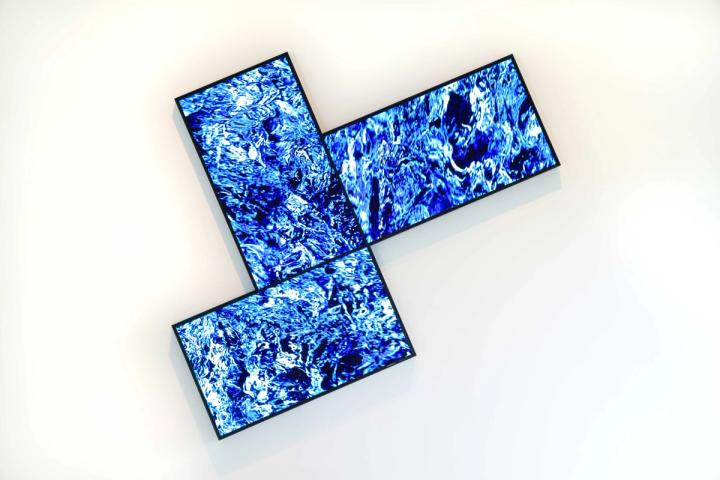 Galerie Dr. Dorothea van der Koelen