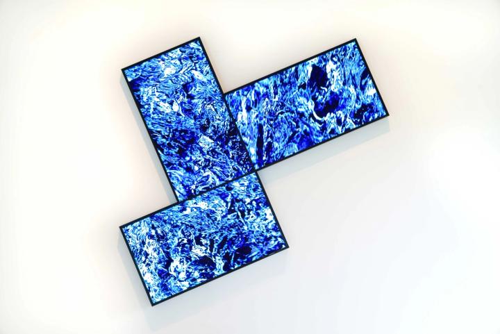 Galerie Dr. Dorothea van der Koelen