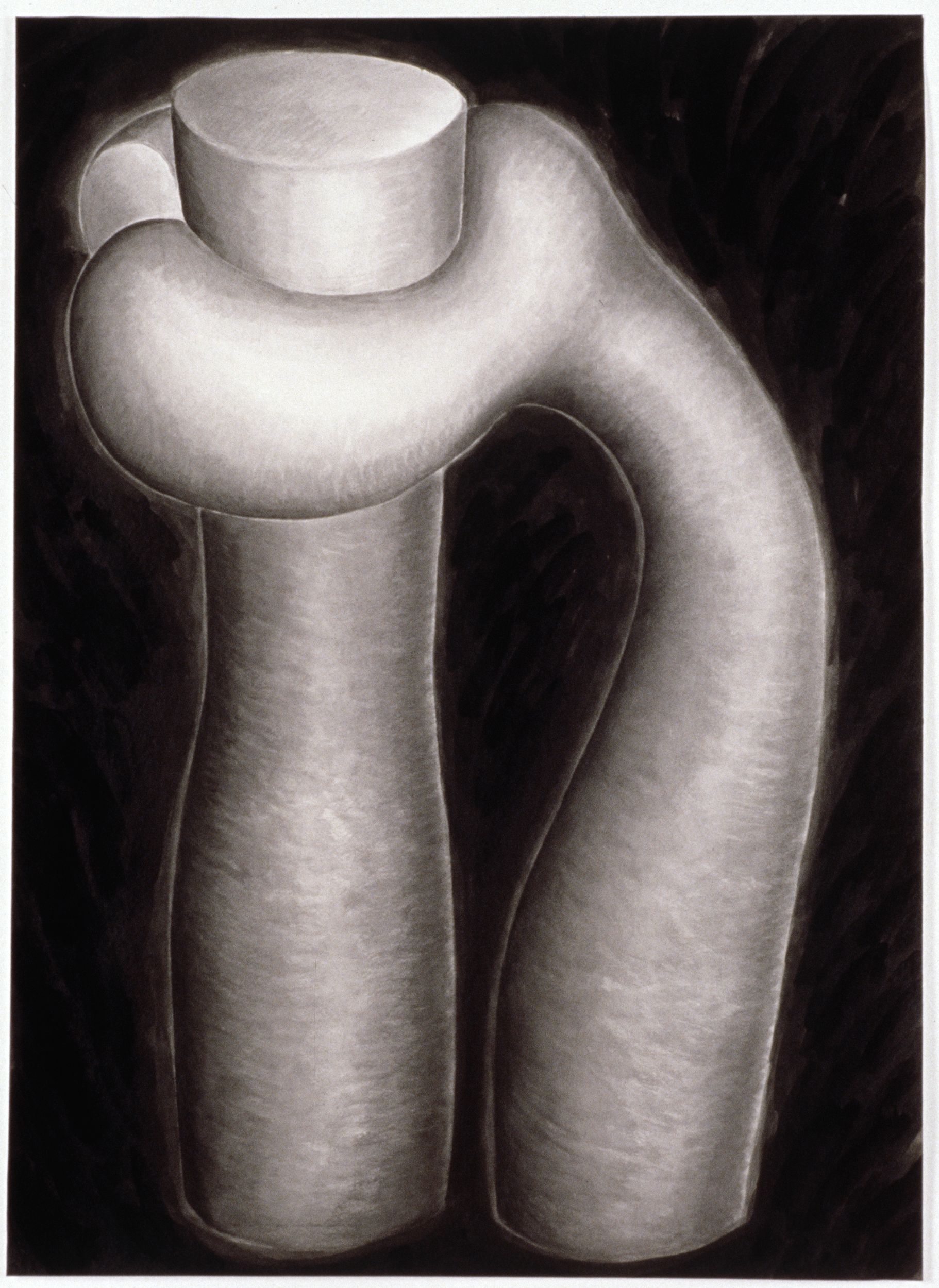 symbiosis mary ann unger