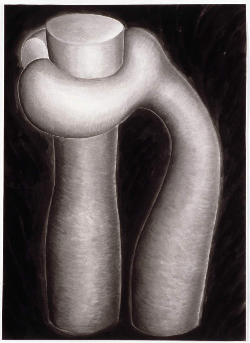 symbiosis drawing mary ann unger