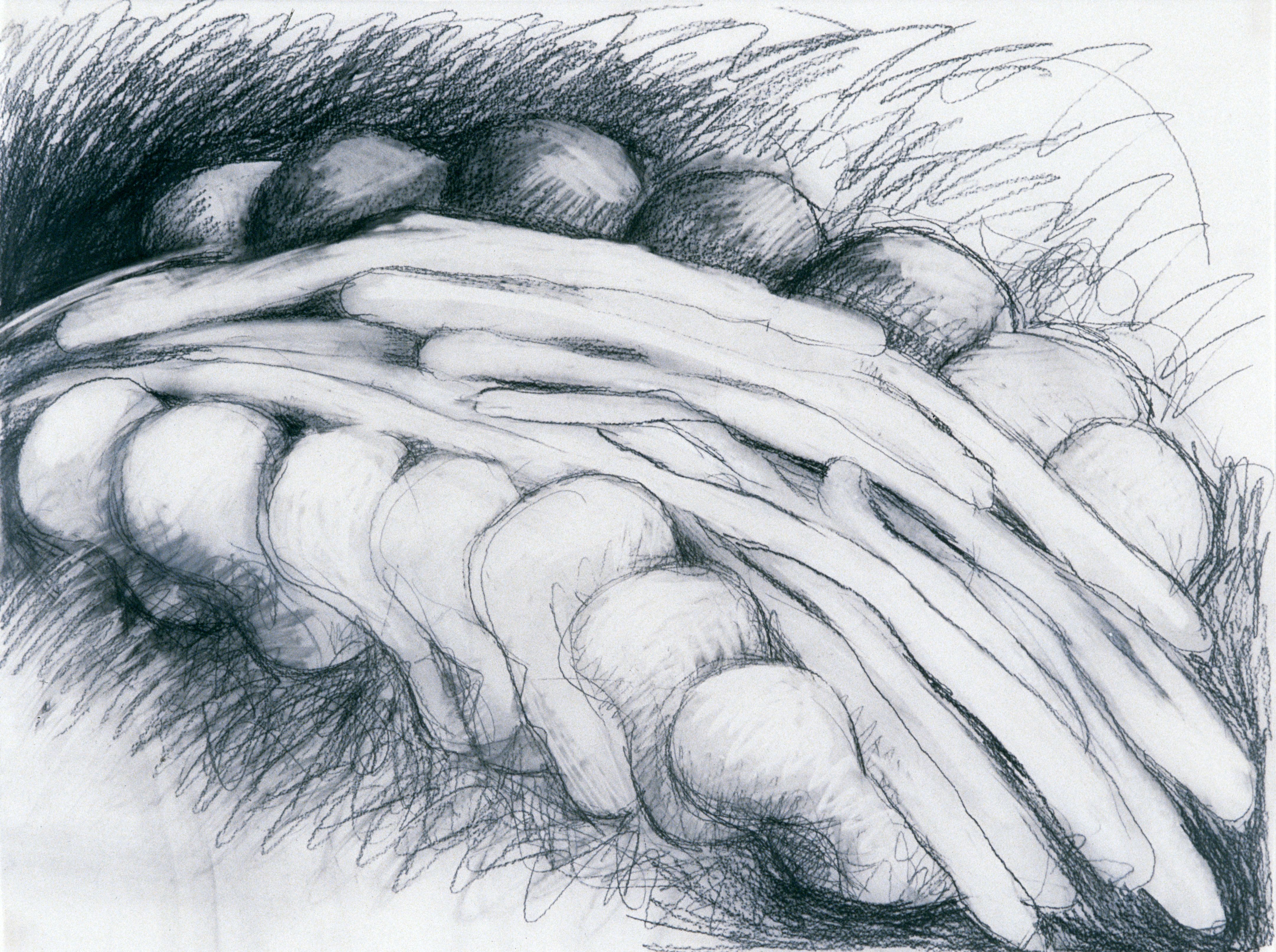 study for deposition drawing mary ann unger