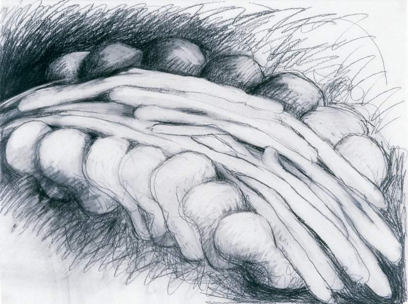 study for deposition drawing mary ann unger