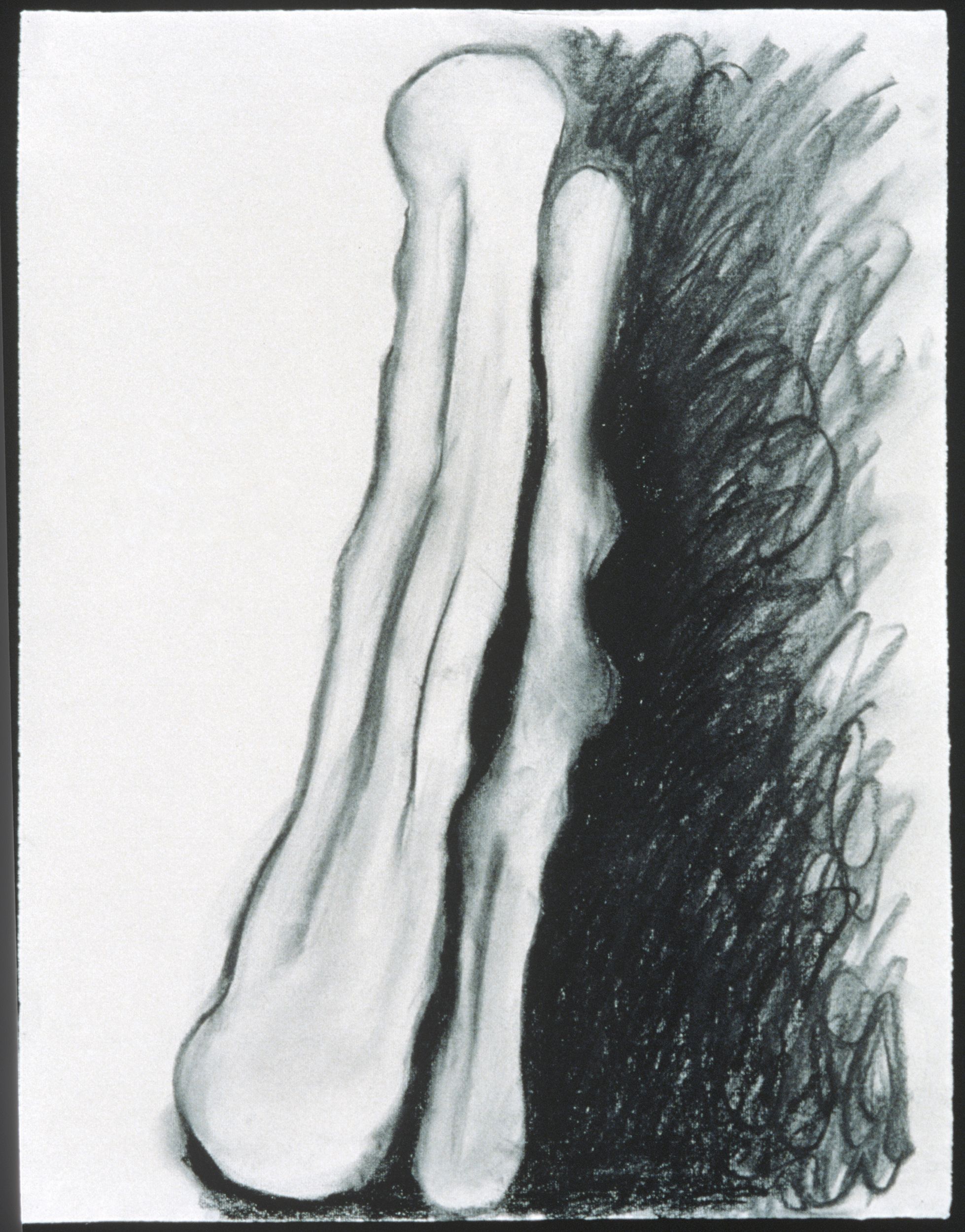 shades study iii drawing mary ann unger