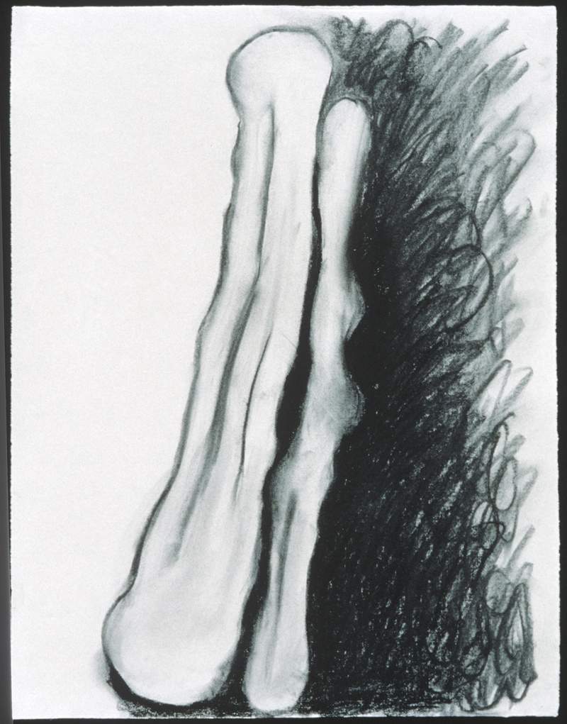 shades study iii drawing mary ann unger