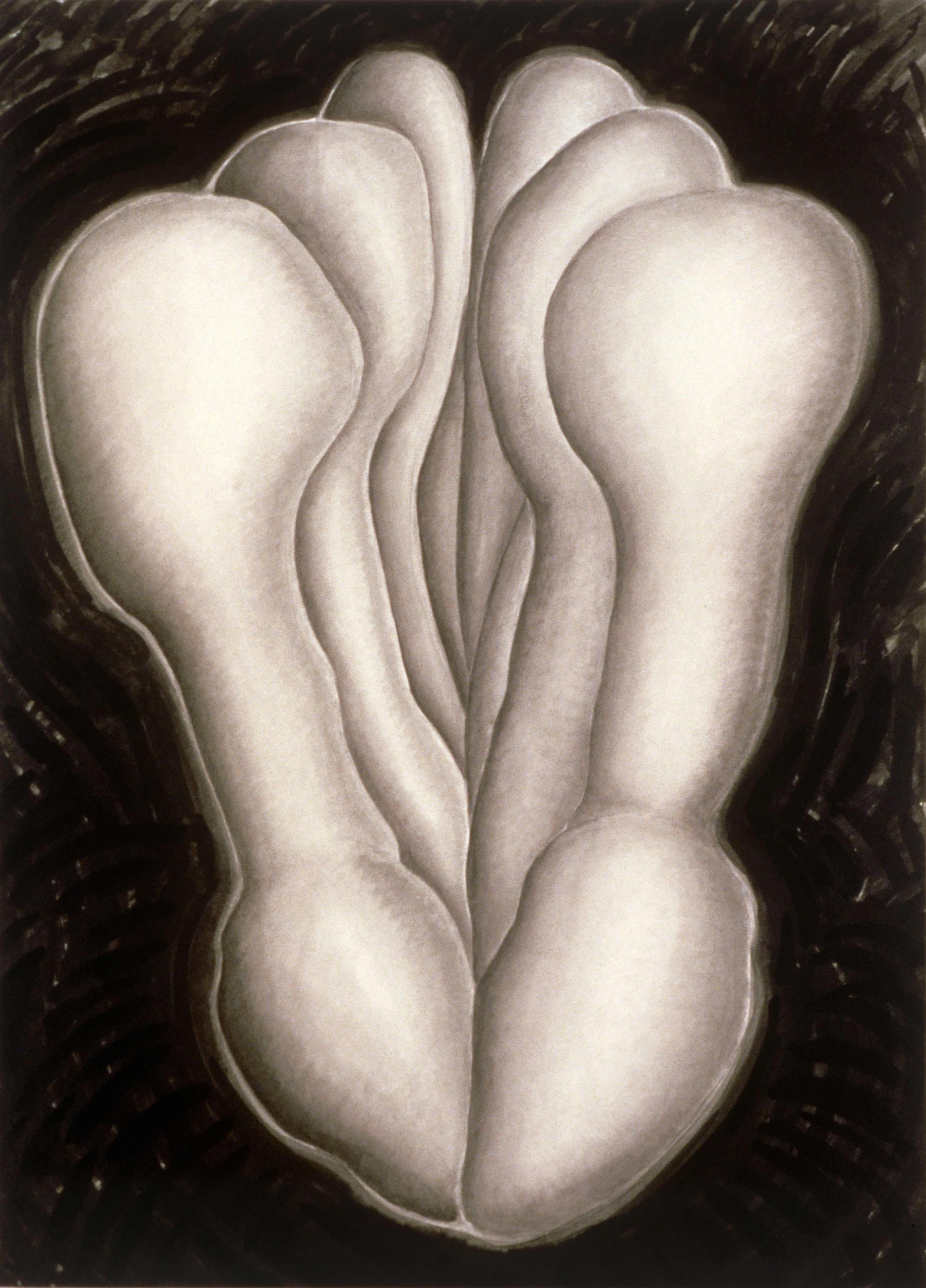 flower drawing mary ann unger