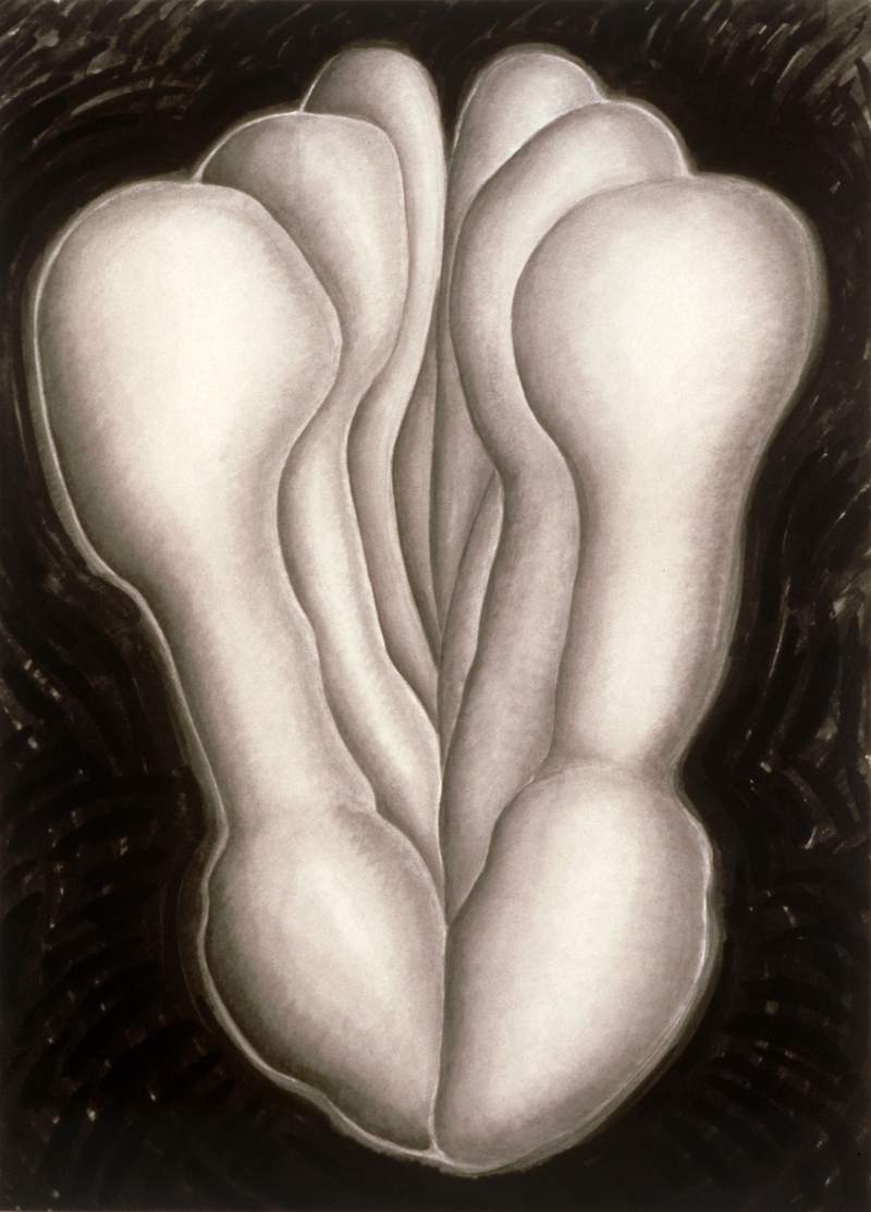 flower drawing mary ann unger