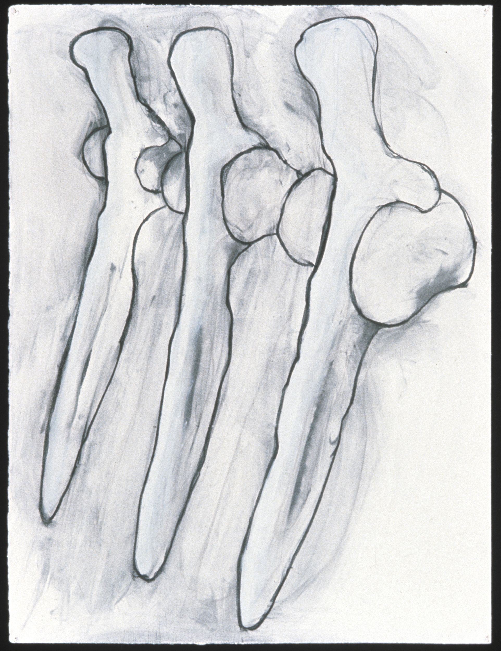 study for shanks drawing mary ann unger