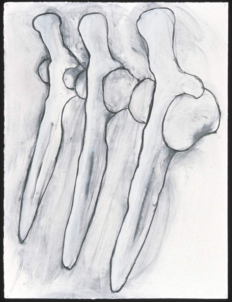 study for shanks drawing mary ann unger