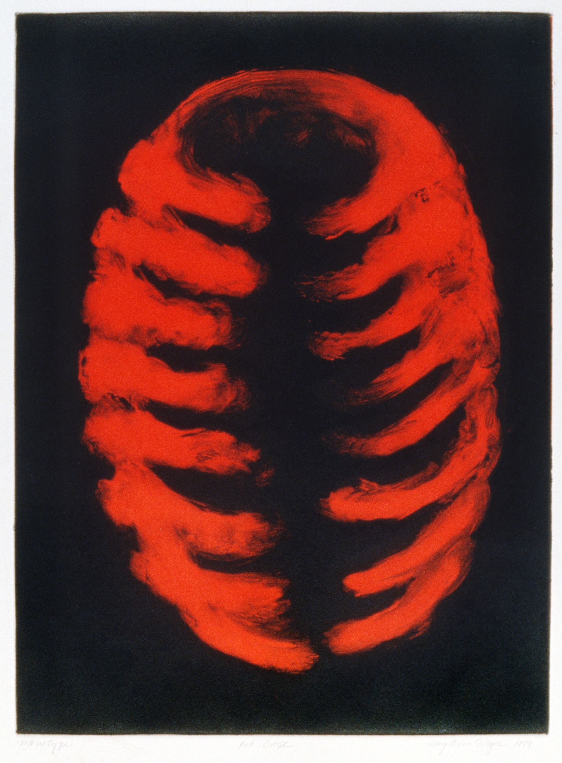 rib cage print mary ann unger
